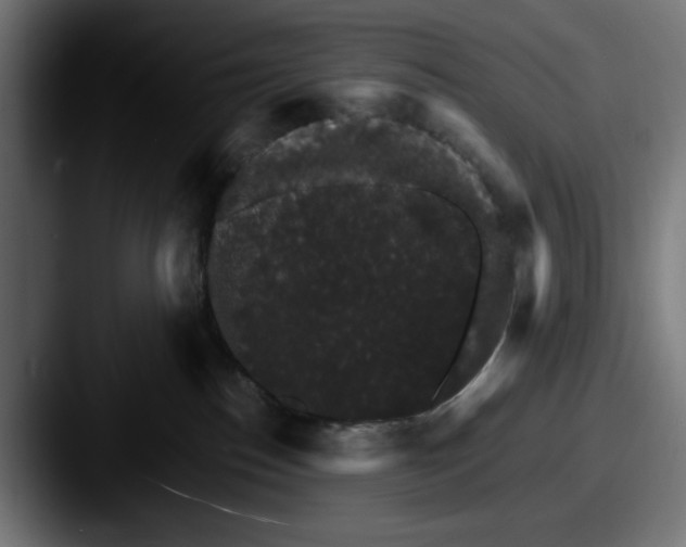 X0000087520186200705181019