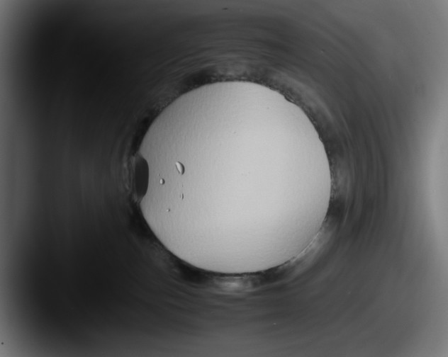 X0000087520187200705181019