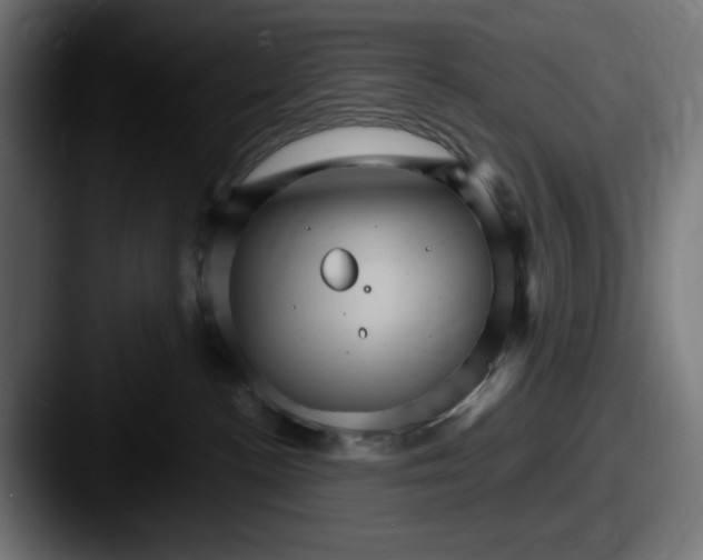 X0000087520188200705181019