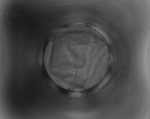 X0000087520189200705181019