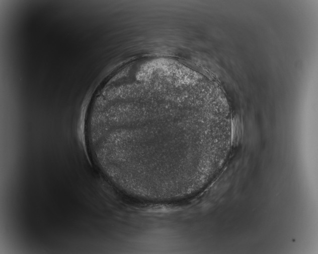 X0000087520195200705181018