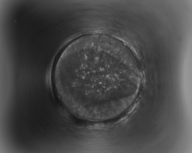 X0000087520196200705181018