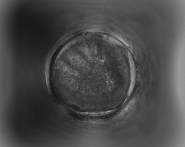 X0000087520199200705181018