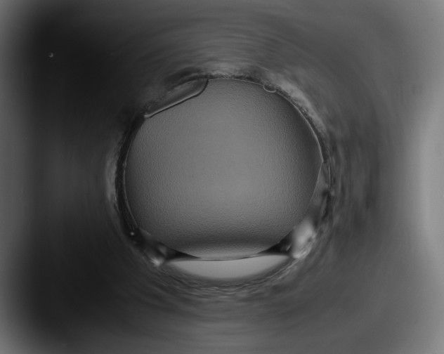 X0000087520201200705181018