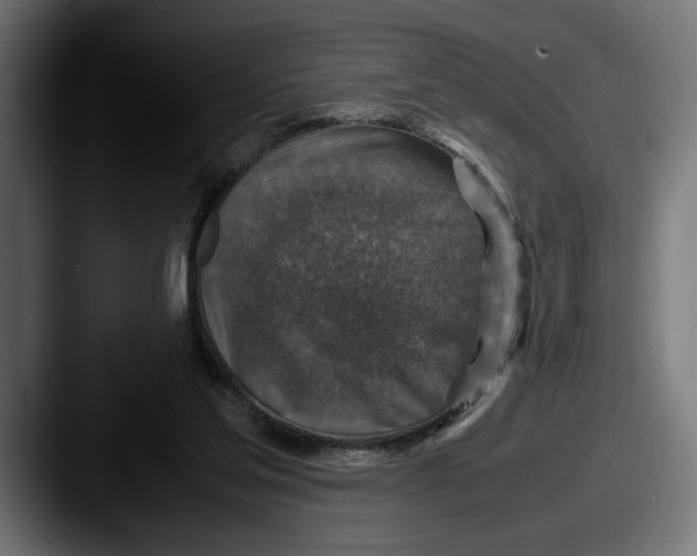 X0000087520205200705181018