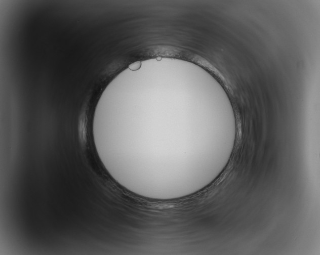 X0000087520206200705181018