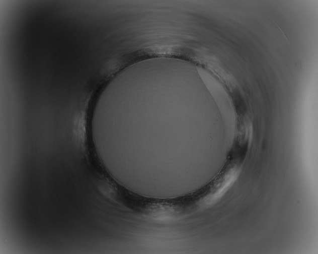 X0000087520207200705181018