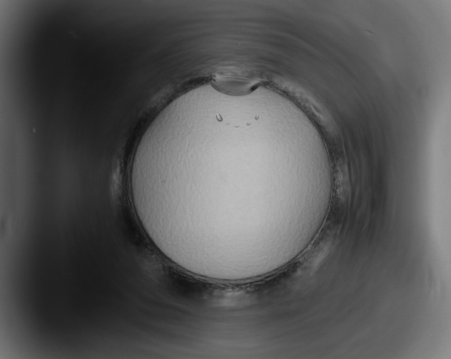 X0000087520208200705181018