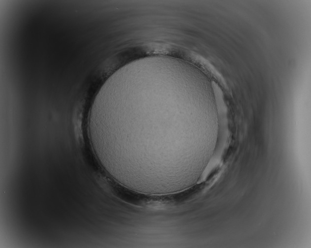 X0000087520209200705181018