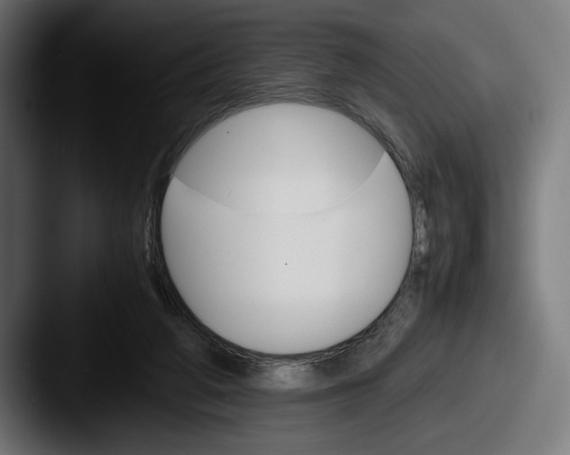 X0000087520210200705181018