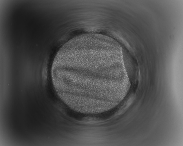 X0000087520211200705181018