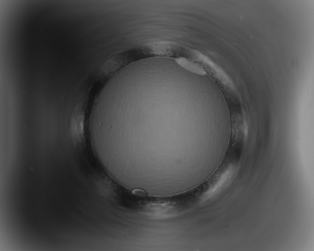 X0000087520213200705181018