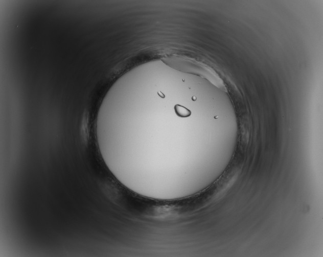 X0000087520216200705181018