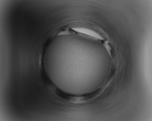 X0000087520217200705181018