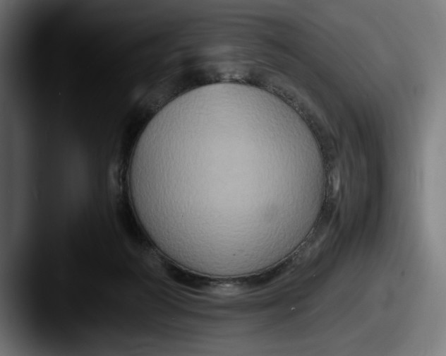 X0000087520218200705181018