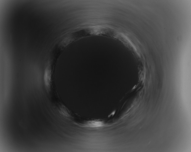 X0000087520219200705181018