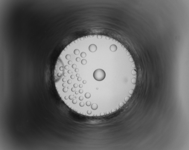 X0000087520220200705181018