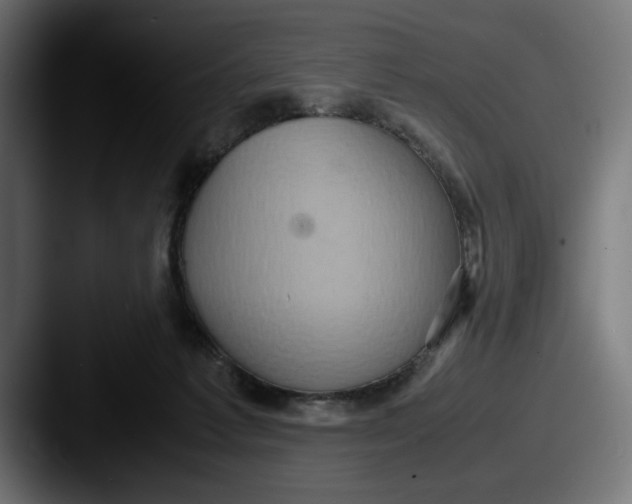 X0000087520221200705181018