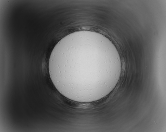 X0000087520222200705181018