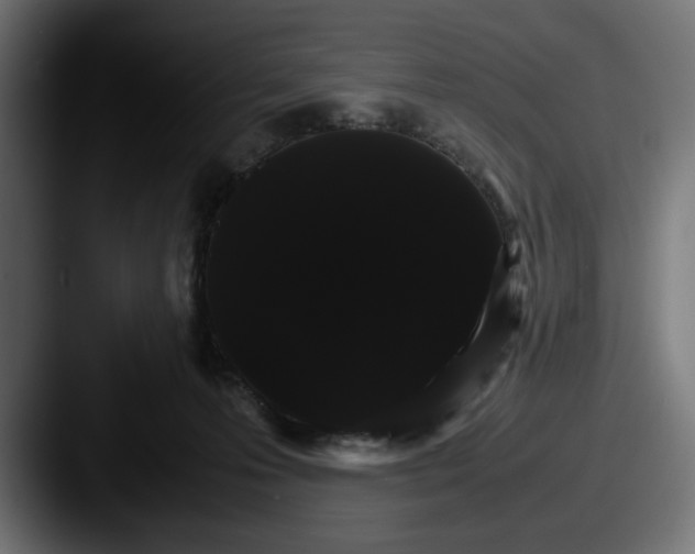 X0000087520223200705181018