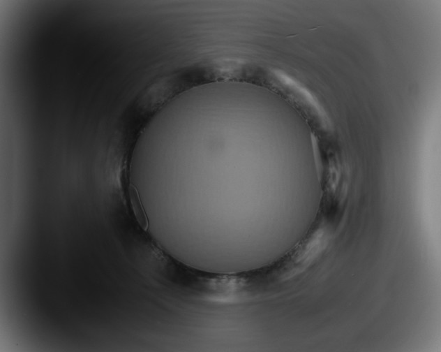 X0000087520225200705181018