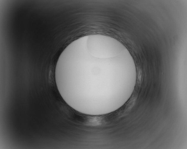 X0000087520226200705181018