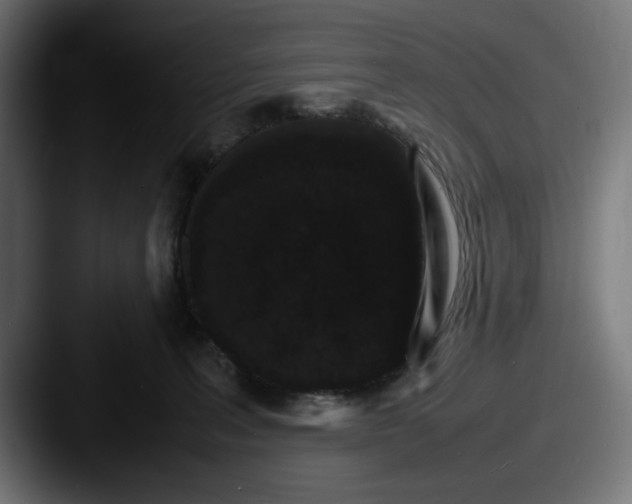 X0000087520227200705181018