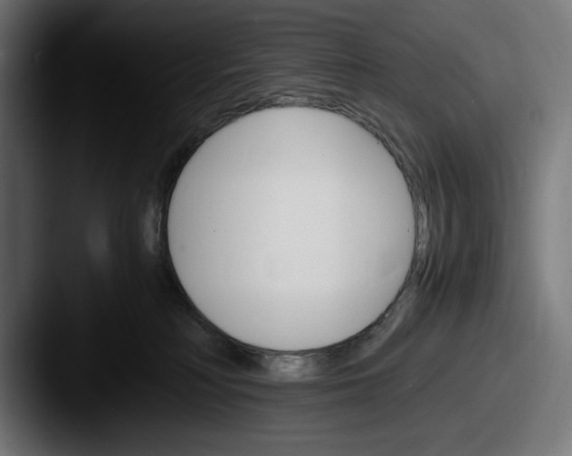 X0000087520230200705181018