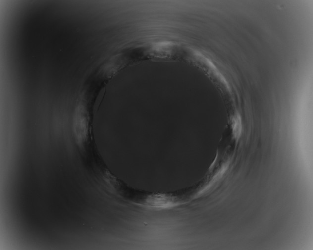 X0000087520231200705181018