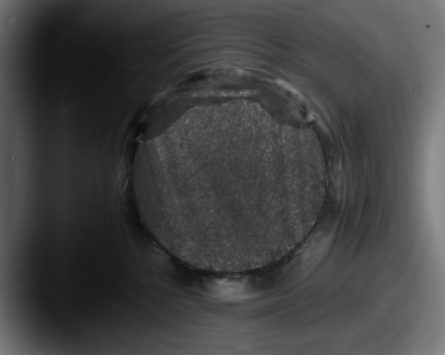 X0000087520232200705181018