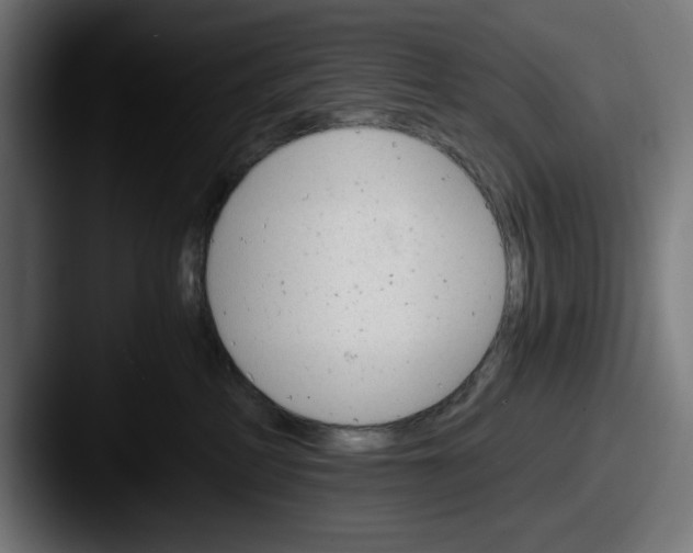 X0000087520234200705181018