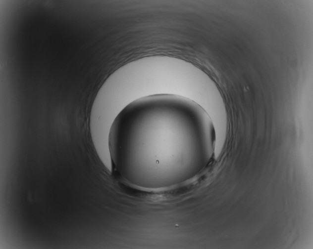 X0000087520237200705181018