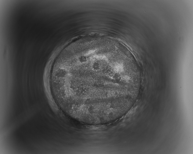 X0000087520241200705181017