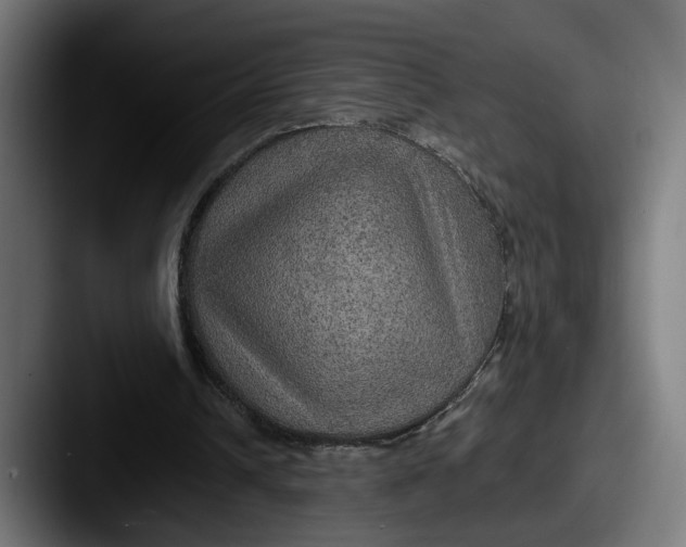 X0000087520242200705181017