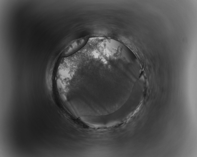 X0000087520243200705181017