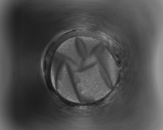 X0000087520244200705181017