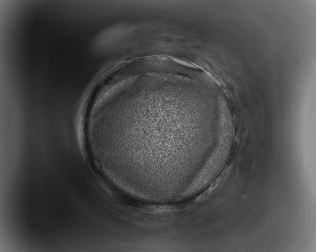 X0000087520245200705181017