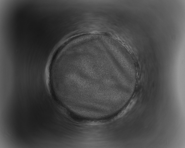 X0000087520246200705181017