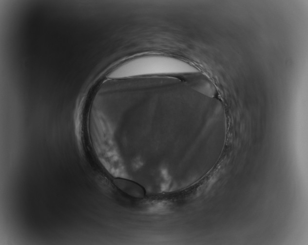 X0000087520247200705181017