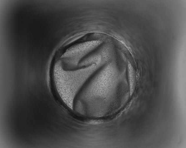 X0000087520248200705181017