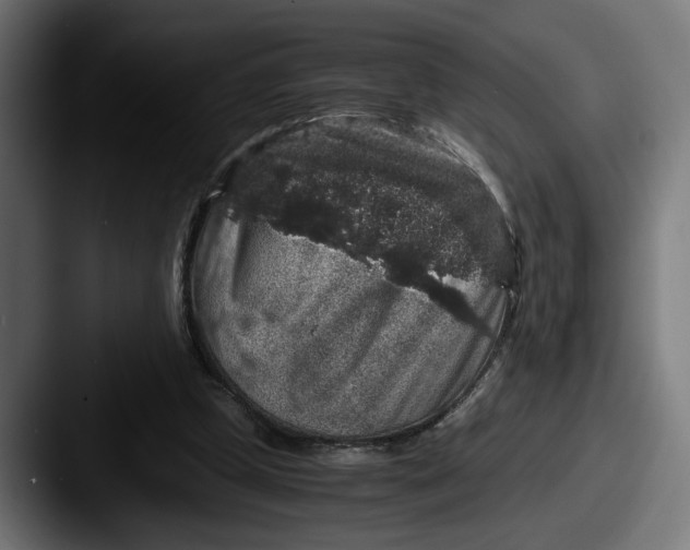 X0000087520249200705181017