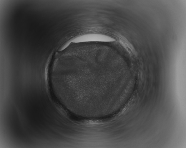 X0000087520250200705181017