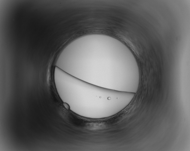 X0000087520251200705181017