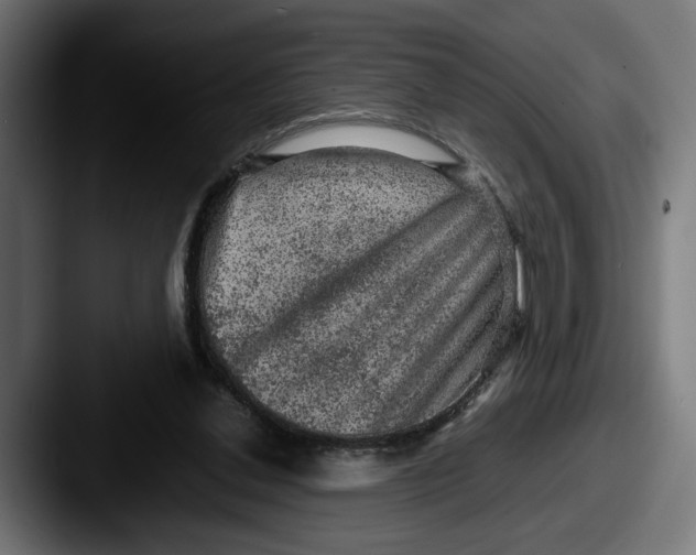 X0000087520252200705181017