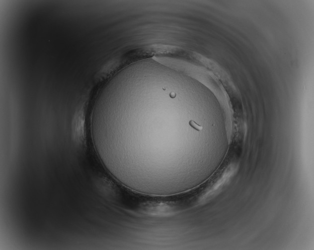 X0000087520254200705181017