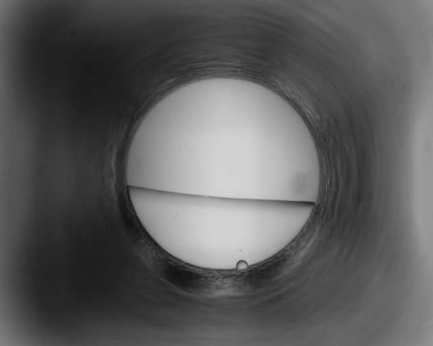 X0000087520255200705181017