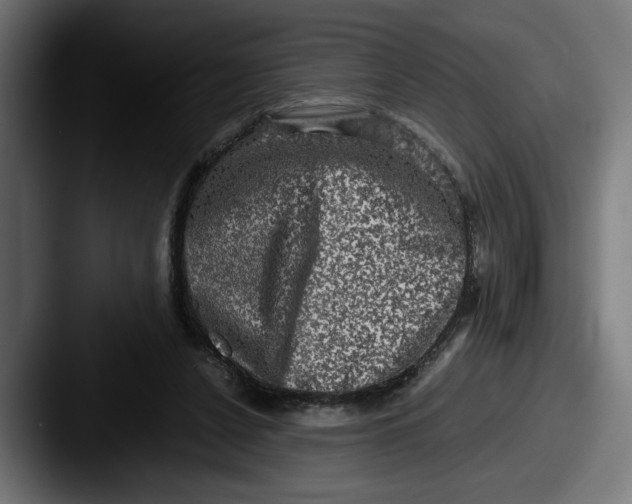 X0000087520256200705181017