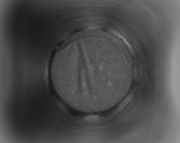 X0000087520257200705181017