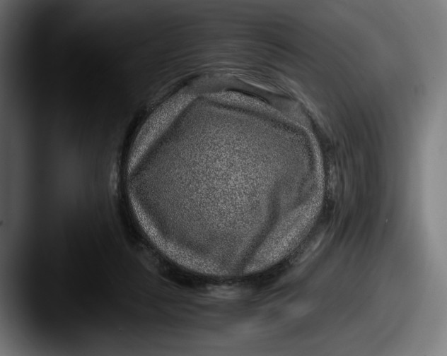 X0000087520259200705181018