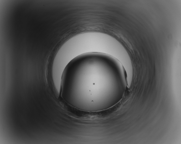 X0000087520260200705181018